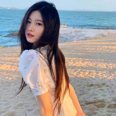 巨齿鲨